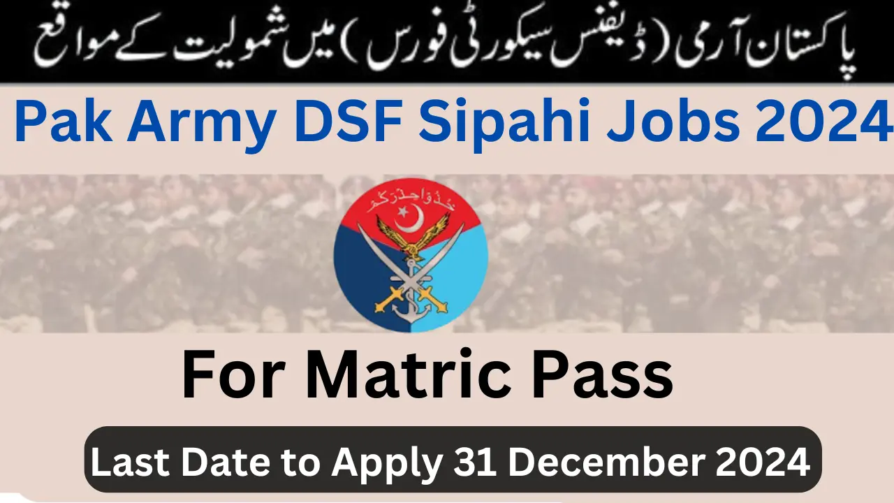 DSF Jobs 2024 Online Registration