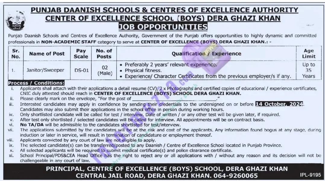 Punjab Danish School Jobs 2024 