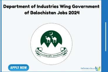 Department of Industries Wing Government of Balochistan Jobs 2024