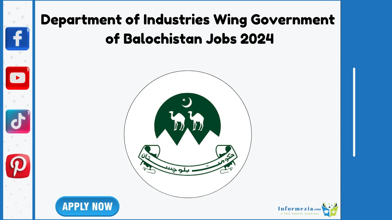 Department of Industries Wing Government of Balochistan Jobs 2024