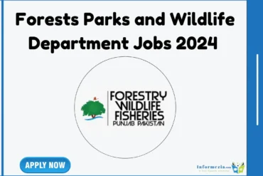 Forests Parks and Wildlife Department Jobs 2024