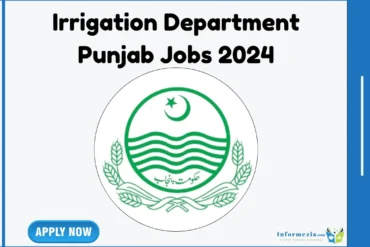 Irrigation Department Punjab Jobs 2024