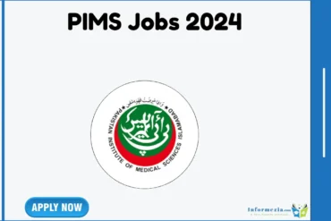 PIMS Jobs 2024