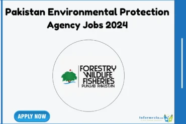 Pakistan Environmental Protection Agency Jobs 2024