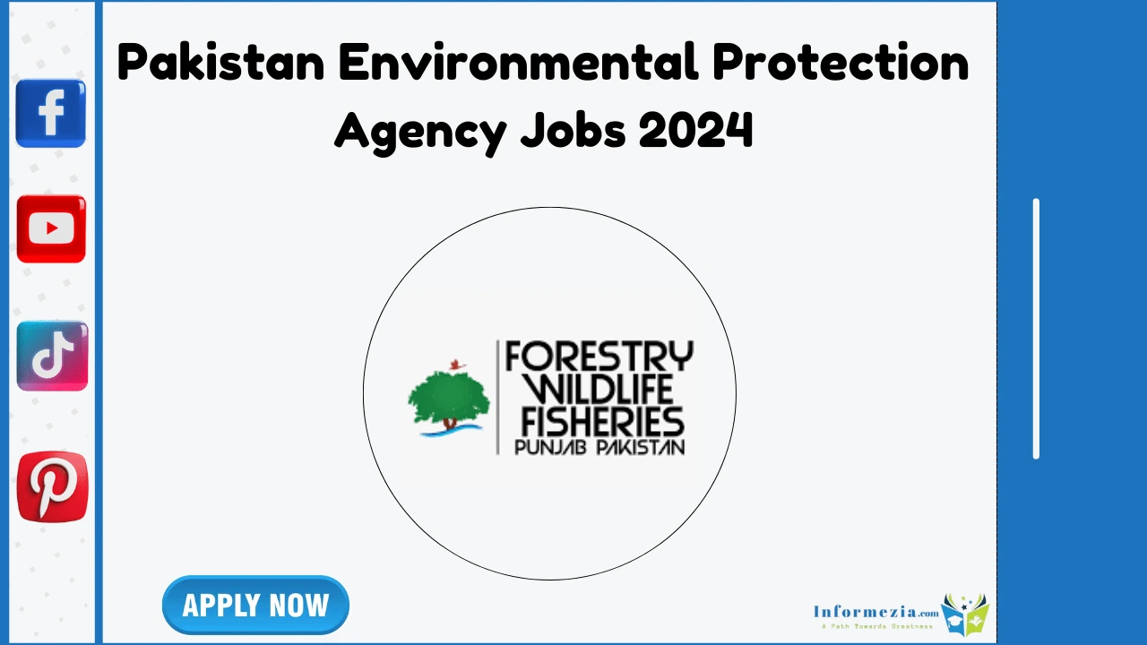 Pakistan Environmental Protection Agency Jobs 2024