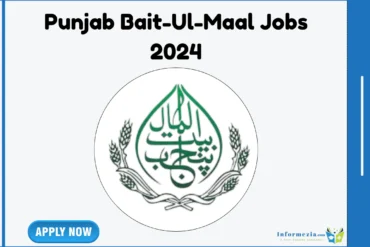 Punjab Bait-Ul-Maal Jobs 2024