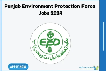 Punjab Environment Protection Force Jobs 2024