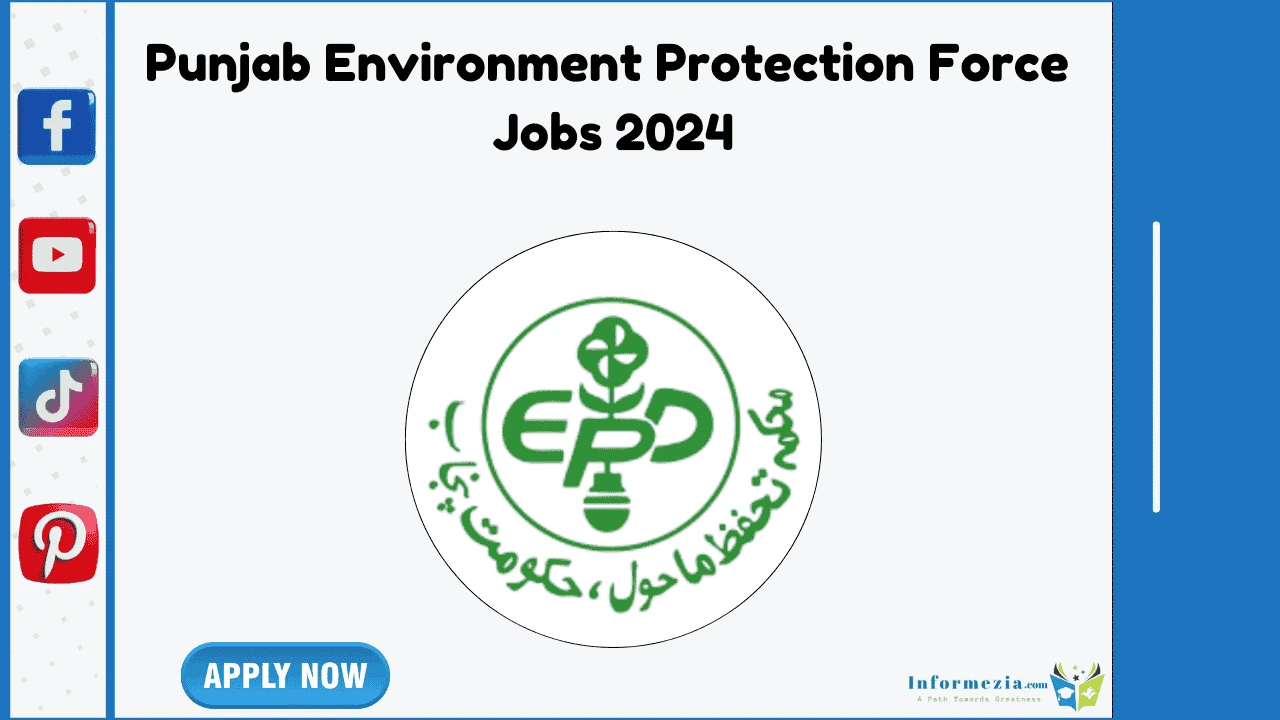 Punjab Environment Protection Force Jobs 2024