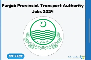 Punjab Provincial Transport Authority Jobs 2024