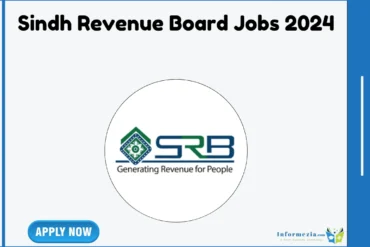 Sindh Revenue Board Jobs 2024