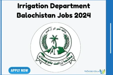 latest Irrigation Department Balochistan Jobs 2024