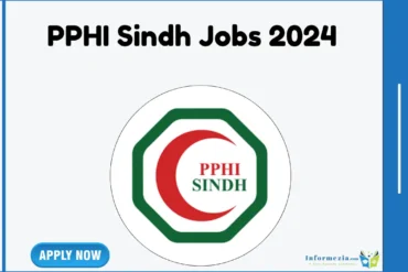 PPHI Sindh Jobs 2024