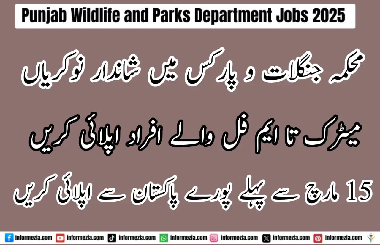 Punjab Wildlife and Parks Department Jobs 2025