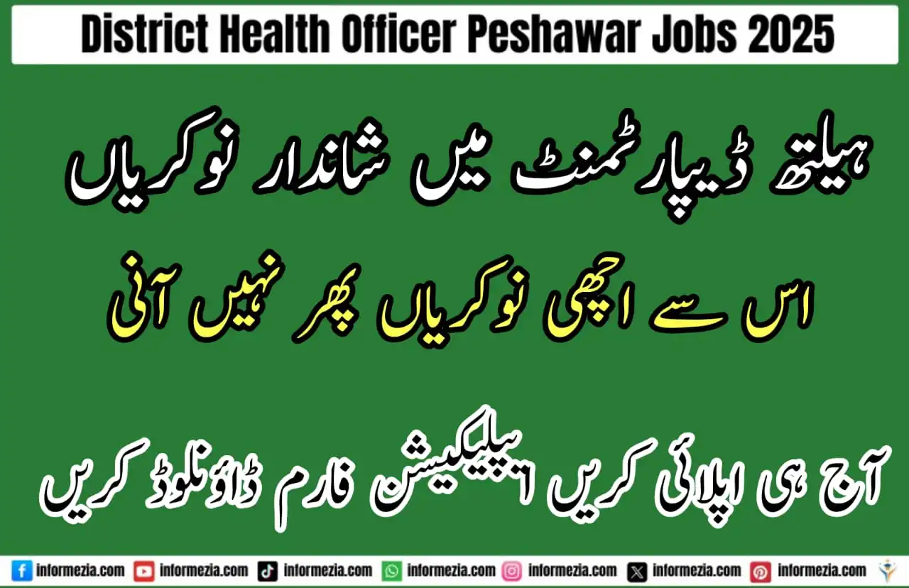 District Health Officer Peshawar Jobs 2025