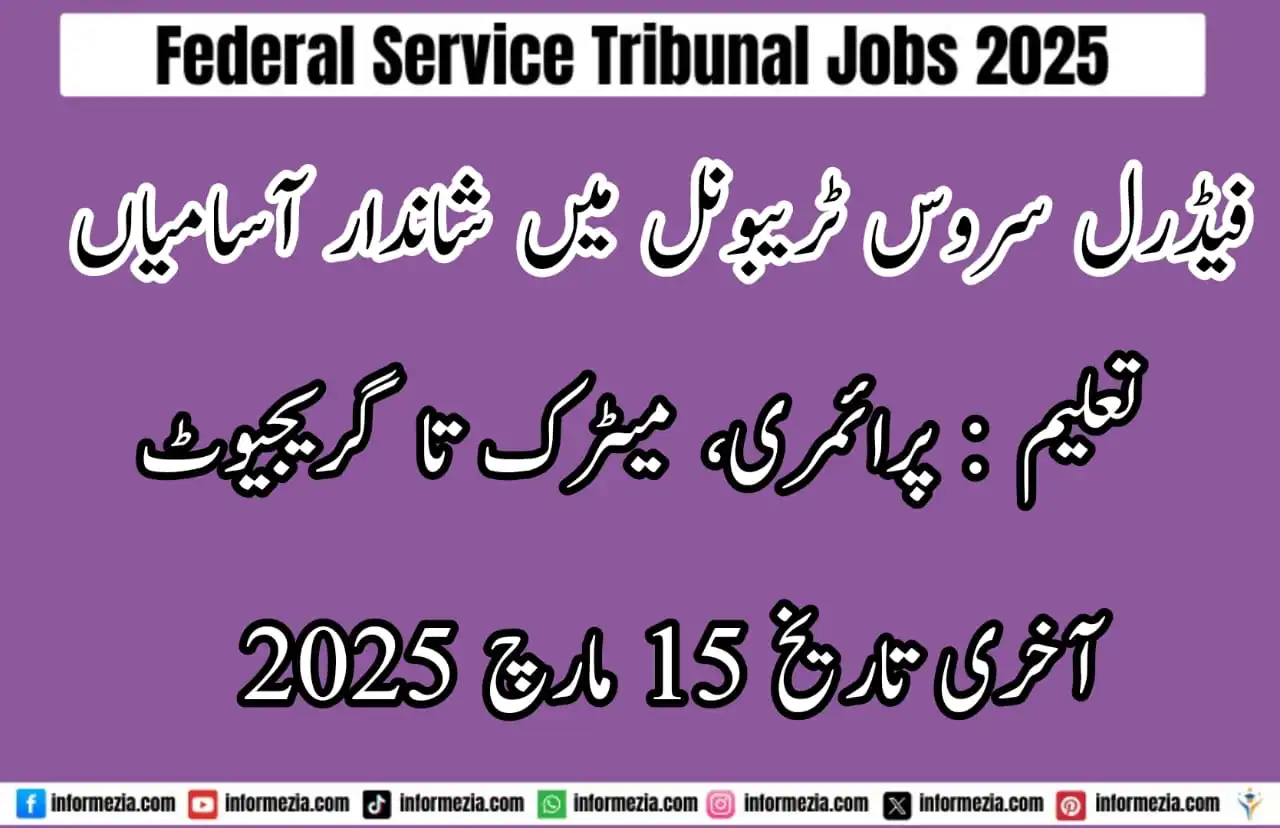 Federal Service Tribunal Jobs 2025